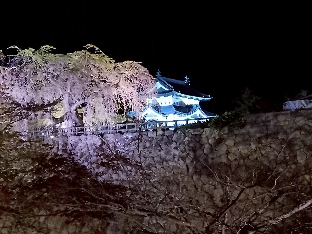 LINE_ALBUM_弘前城 2025GW_250514_57