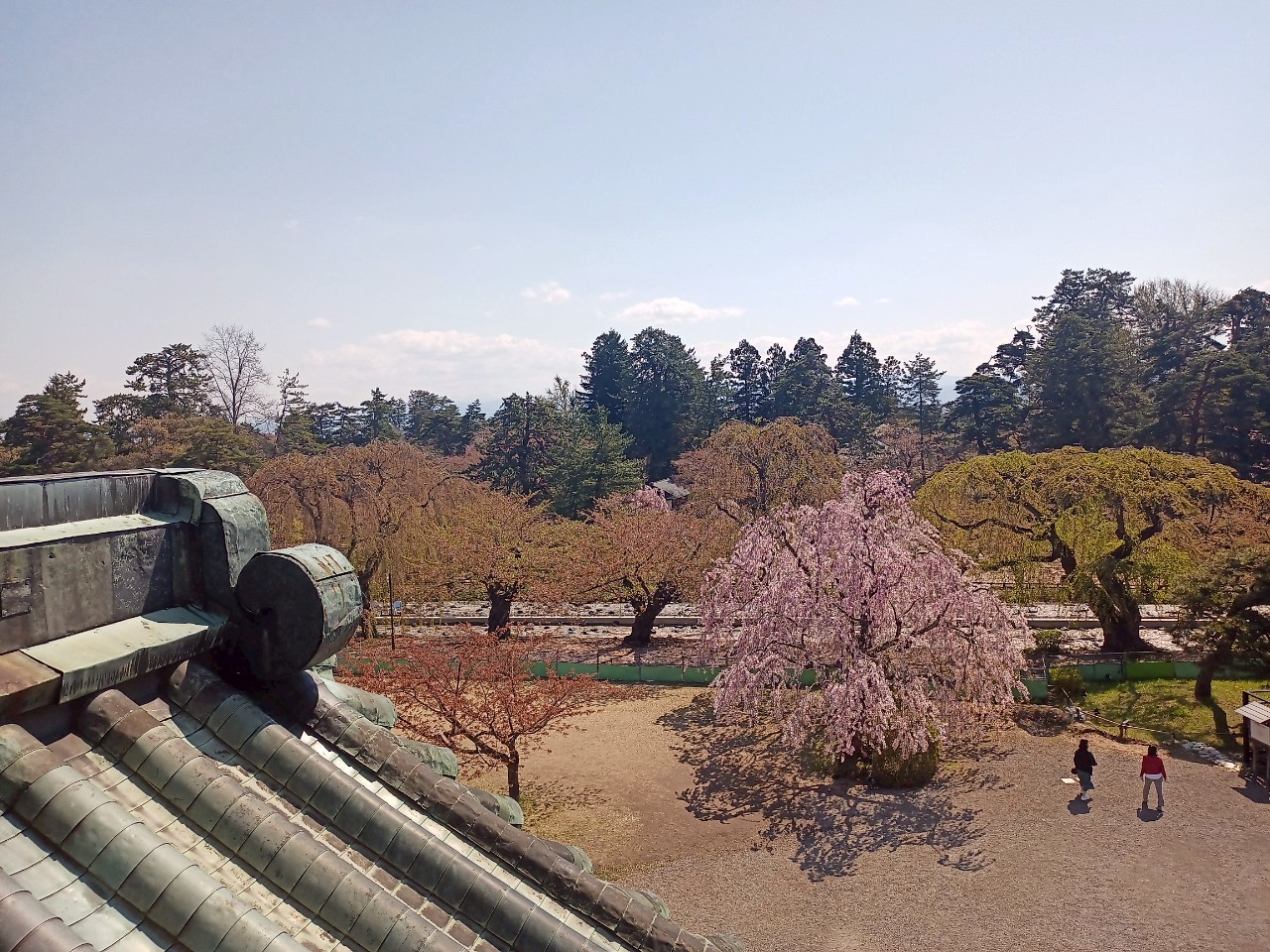 LINE_ALBUM_弘前城 2025GW_250514_384