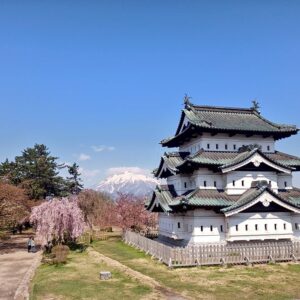 県外旅行レポ】百花繚乱 桜咲き乱れる弘前城を見てきました！つよの