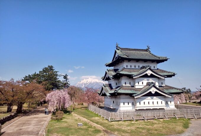 【サボ　行先板】 秋 田 FOR AKITA✕弘前FOR HIROSAKI 県外旅行レポ】百花繚乱 桜咲き乱れる弘前城を見てきました！つよの