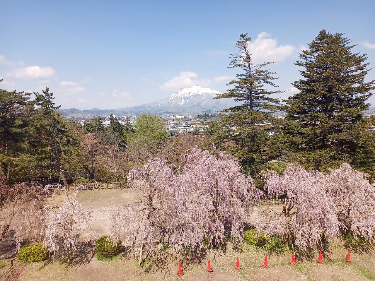 LINE_ALBUM_弘前城 2025GW_250514_382