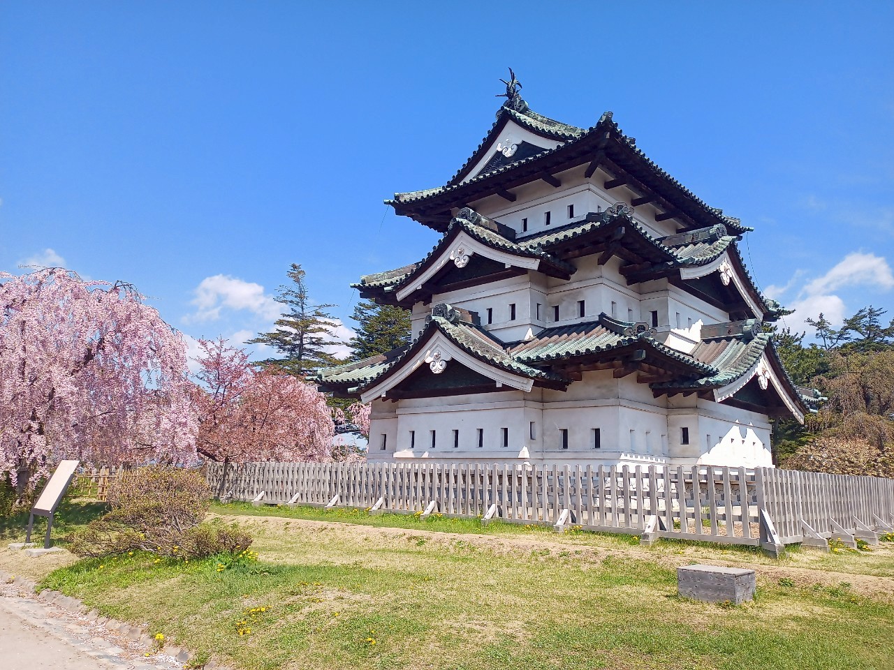 LINE_ALBUM_弘前城 2025GW_250514_370