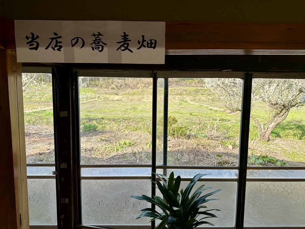 蕎麦処みやびー内観10