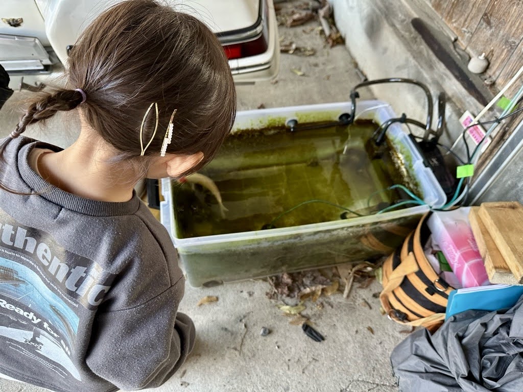 蕎麦処みやびー外観１