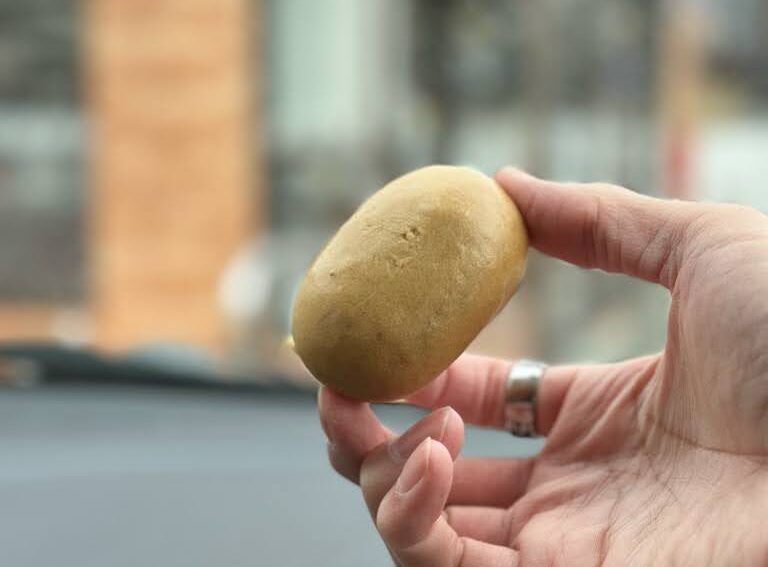 ㈲矢作菓子店 本店ー食レポ2