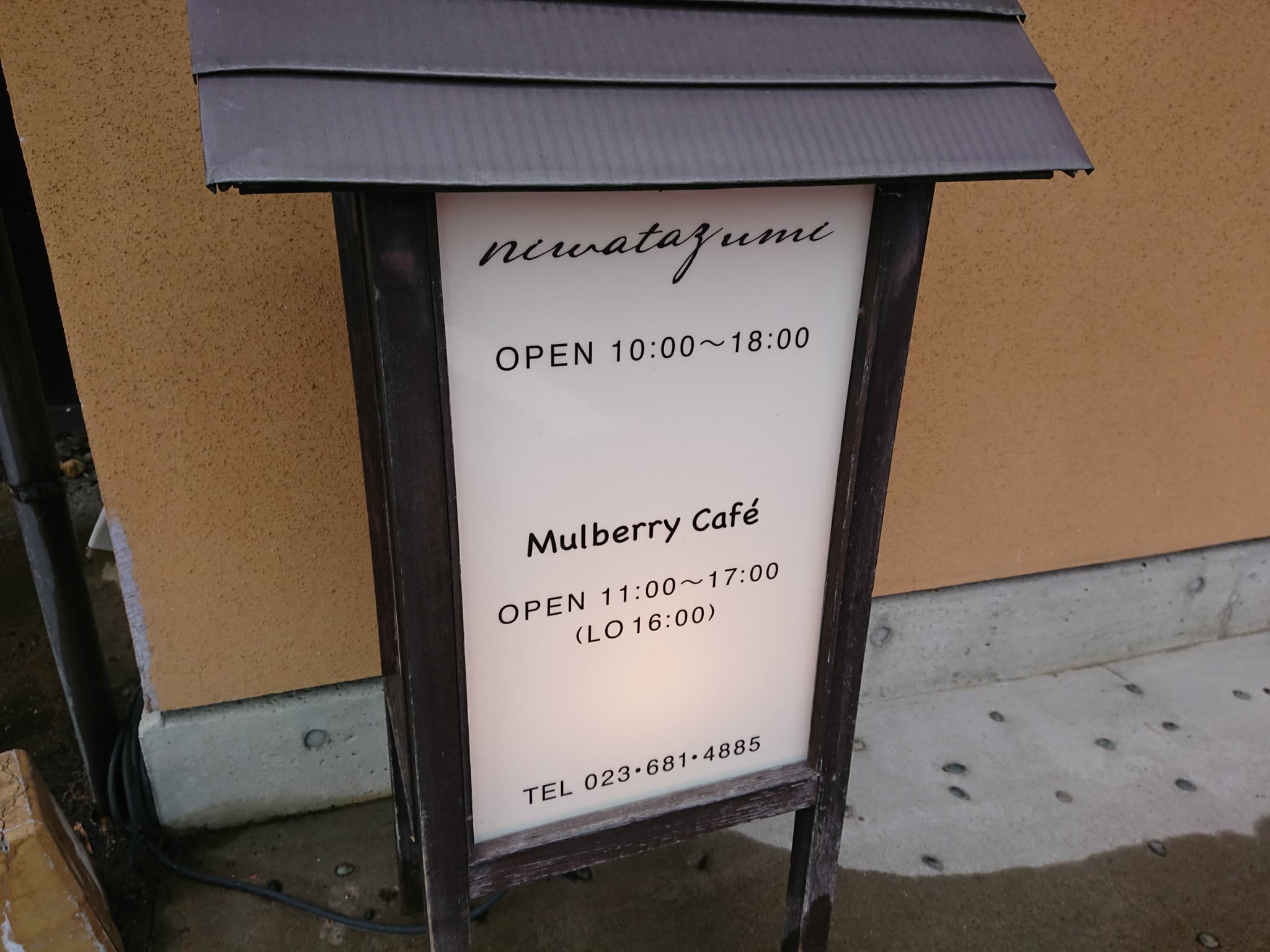 マルベリーカフェ 営業時間