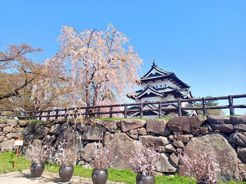 LINE_ALBUM_弘前城 2025GW_250514_417