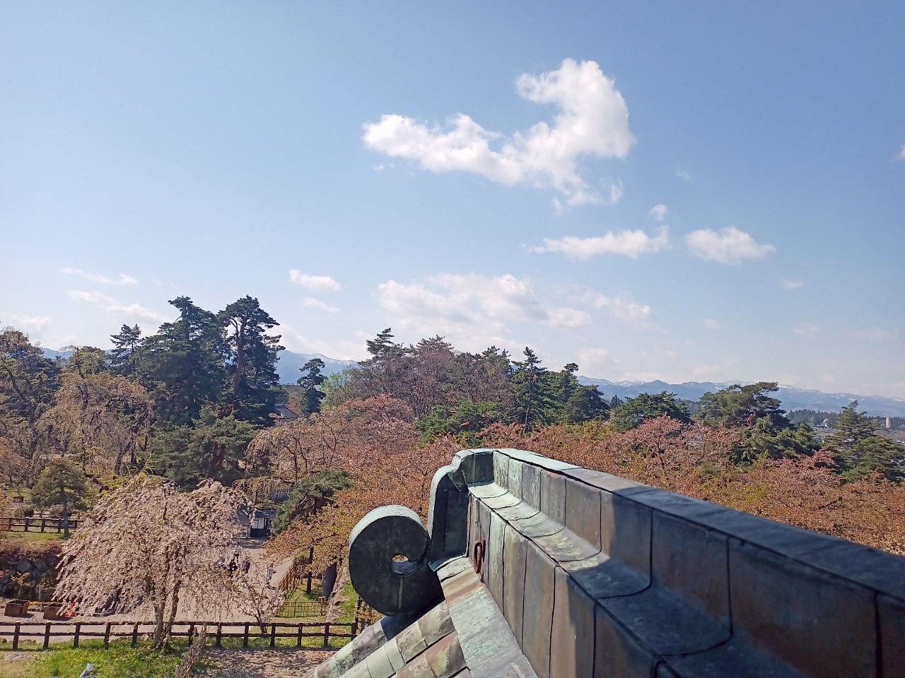 LINE_ALBUM_弘前城 2025GW_250514_383