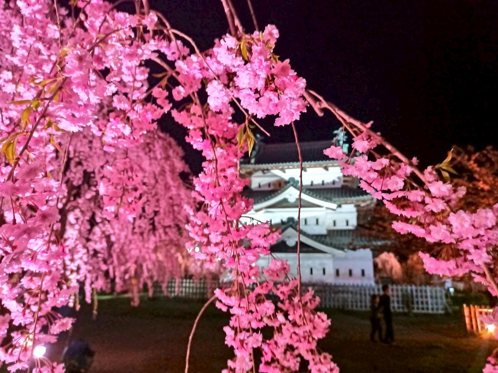 LINE_ALBUM_弘前城 2025GW_250514_39