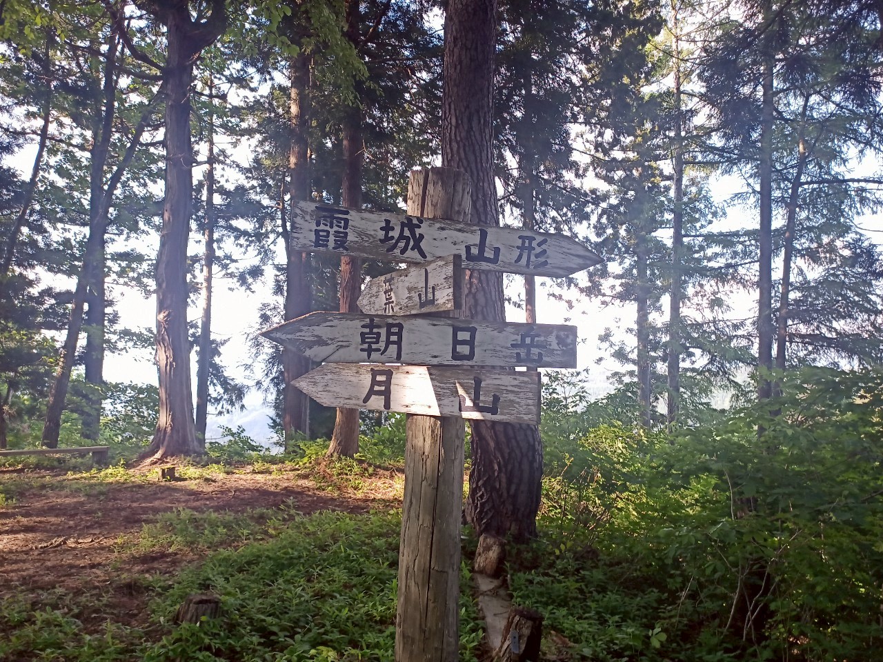 LINE_ALBUM_畑谷城_250619_77