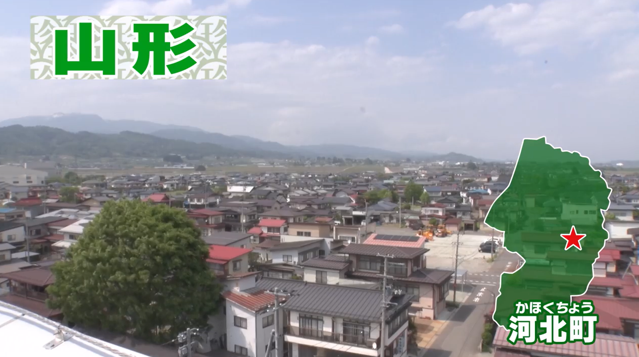 ナニコレ珍百景_河北