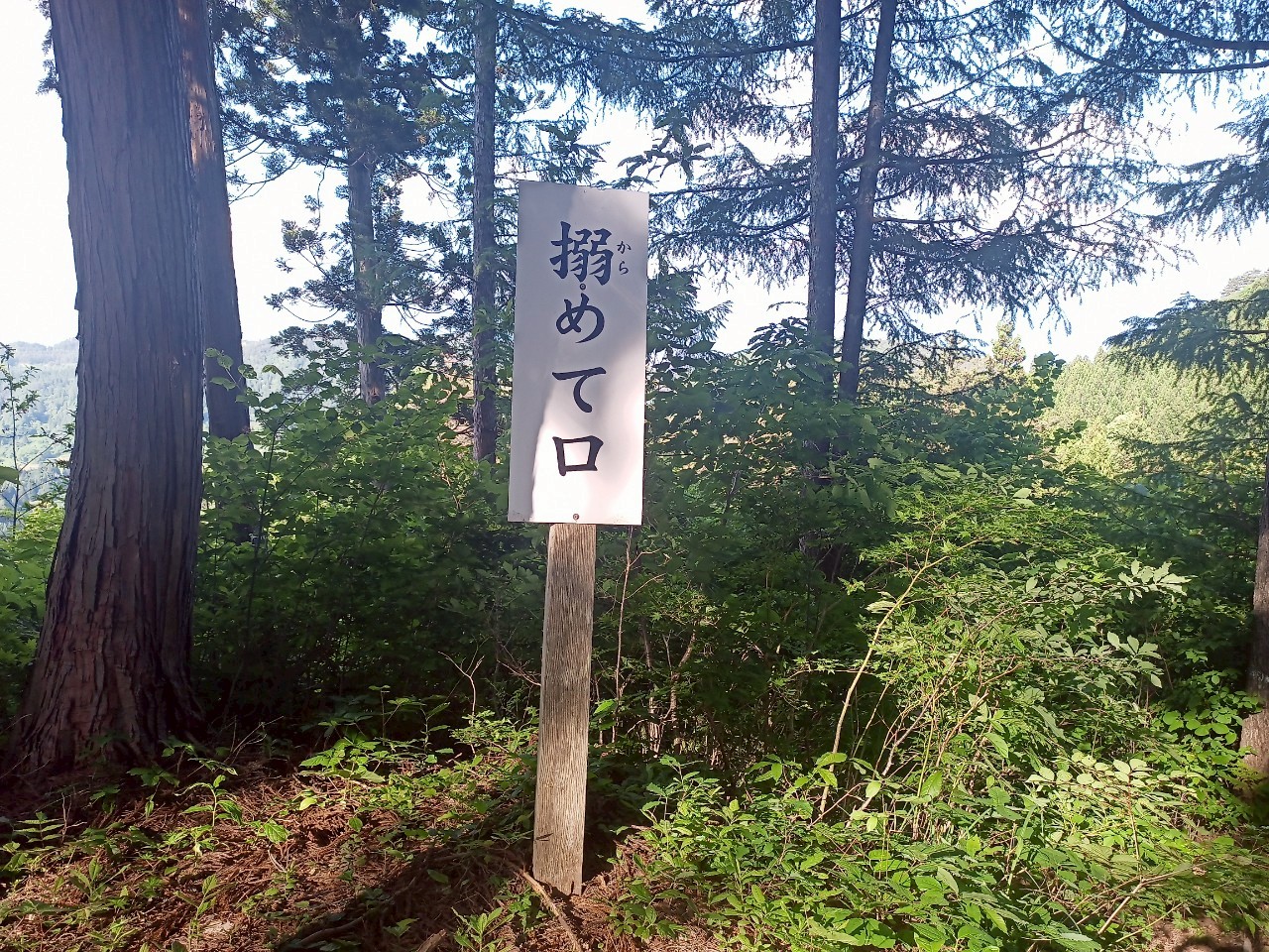 LINE_ALBUM_畑谷城_250619_76