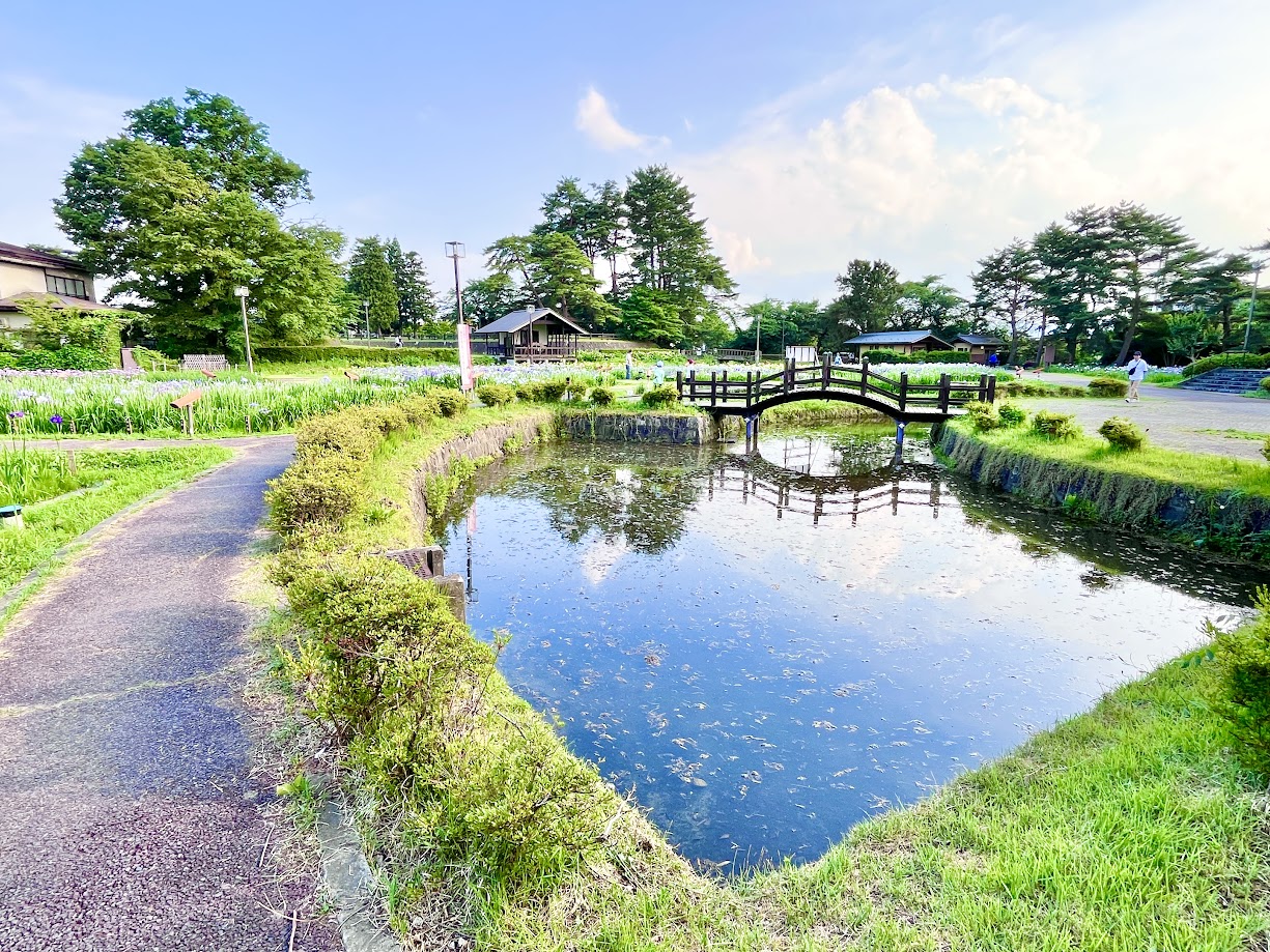 あやめまつり_10