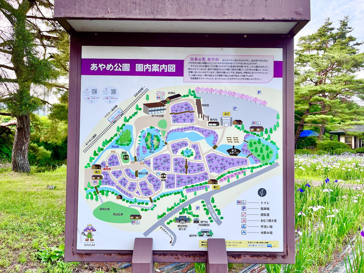 あやめまつり_18