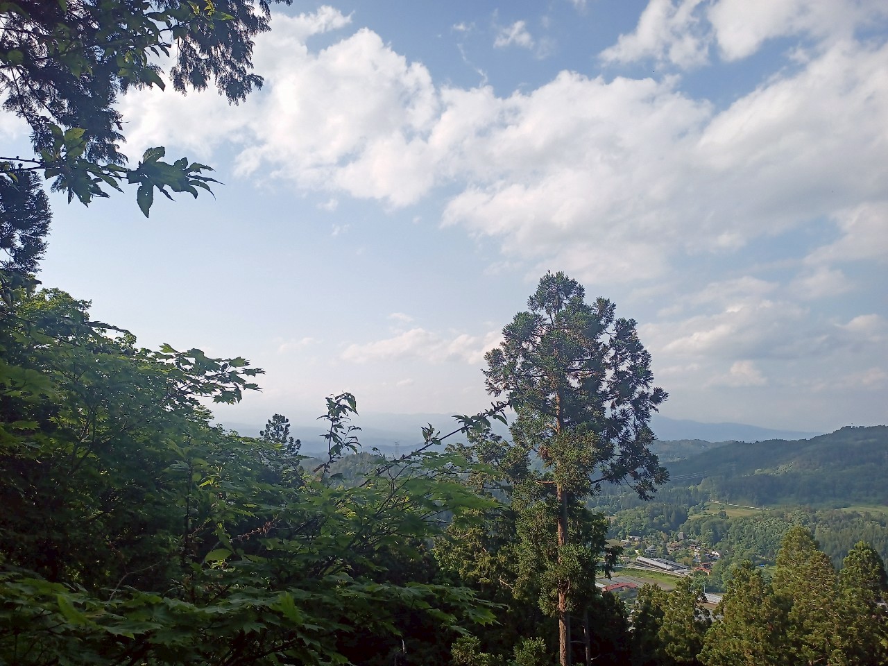 LINE_ALBUM_畑谷城_250619_68