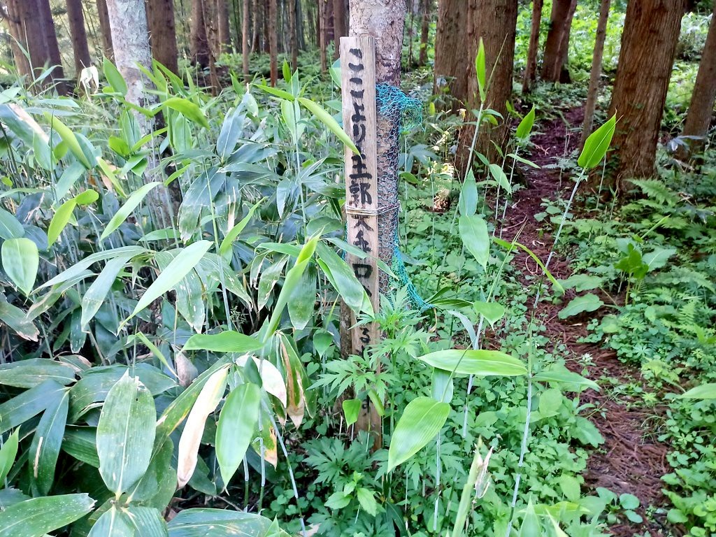 LINE_ALBUM_畑谷城_250619_113