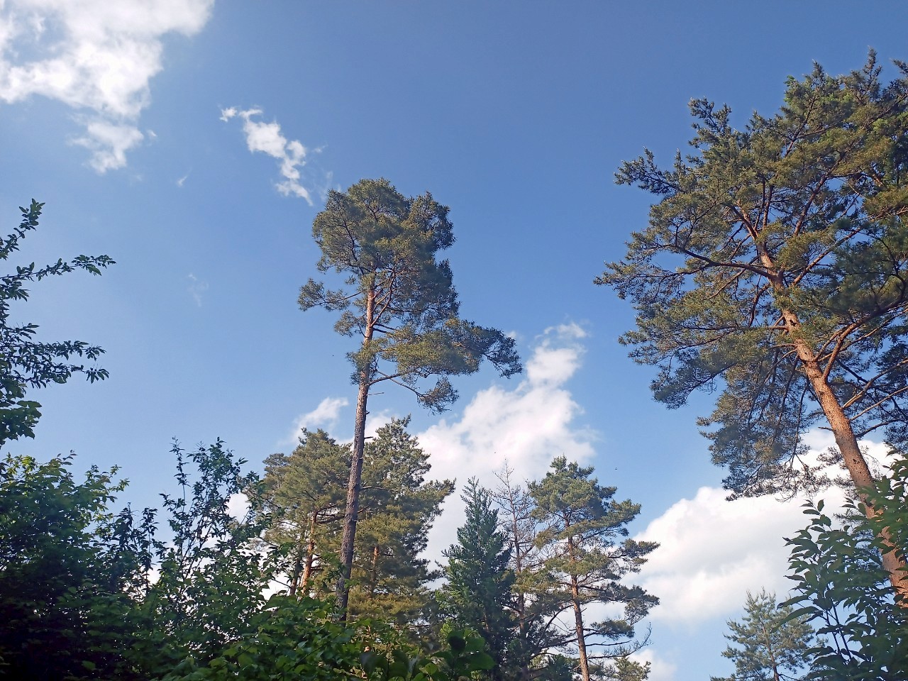 LINE_ALBUM_畑谷城_250619_96