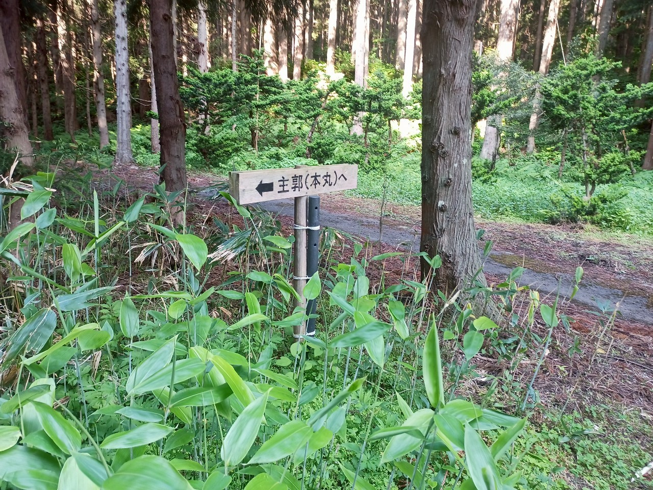 LINE_ALBUM_畑谷城_250619_63