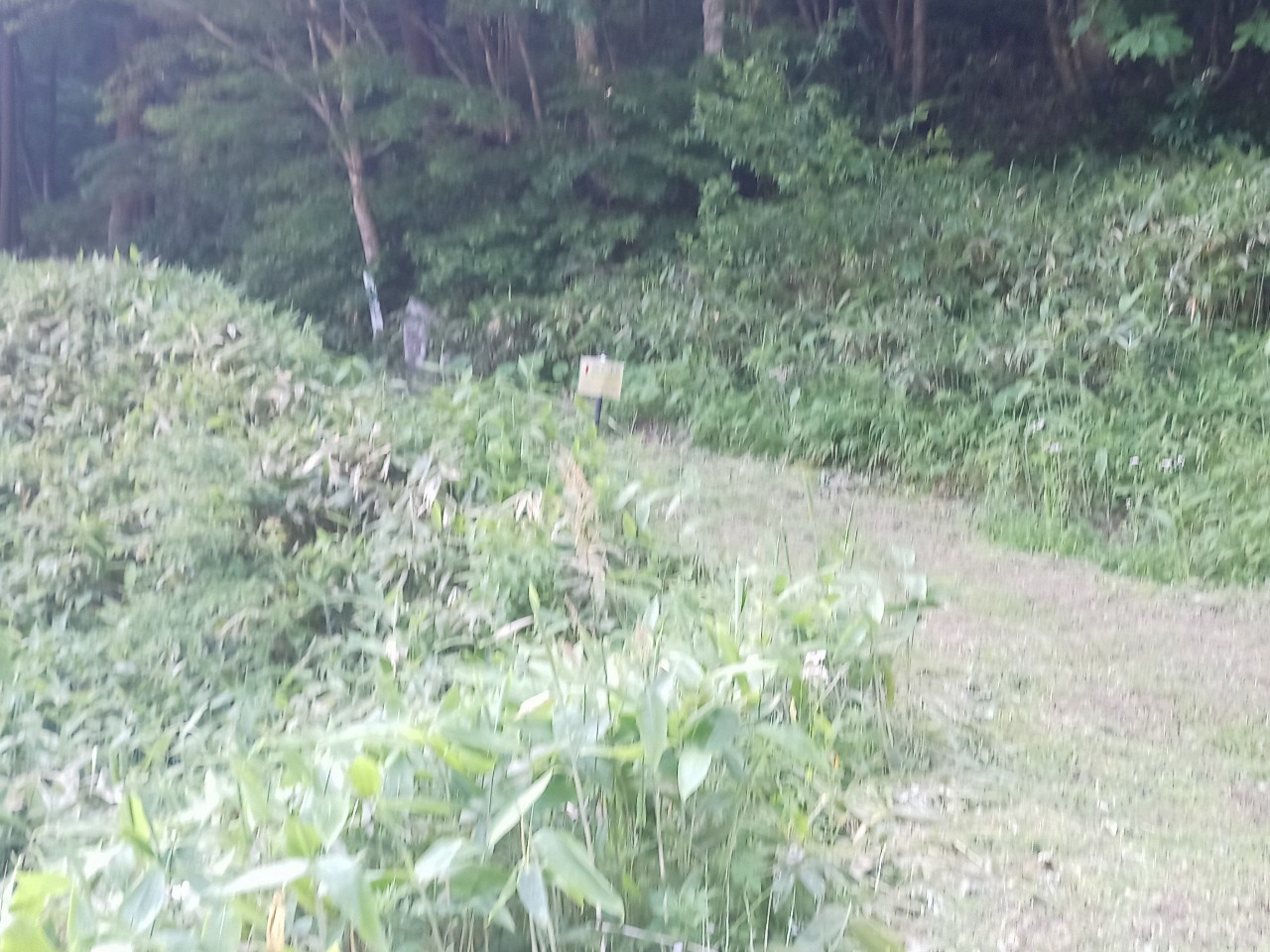 LINE_ALBUM_畑谷城_250619_55