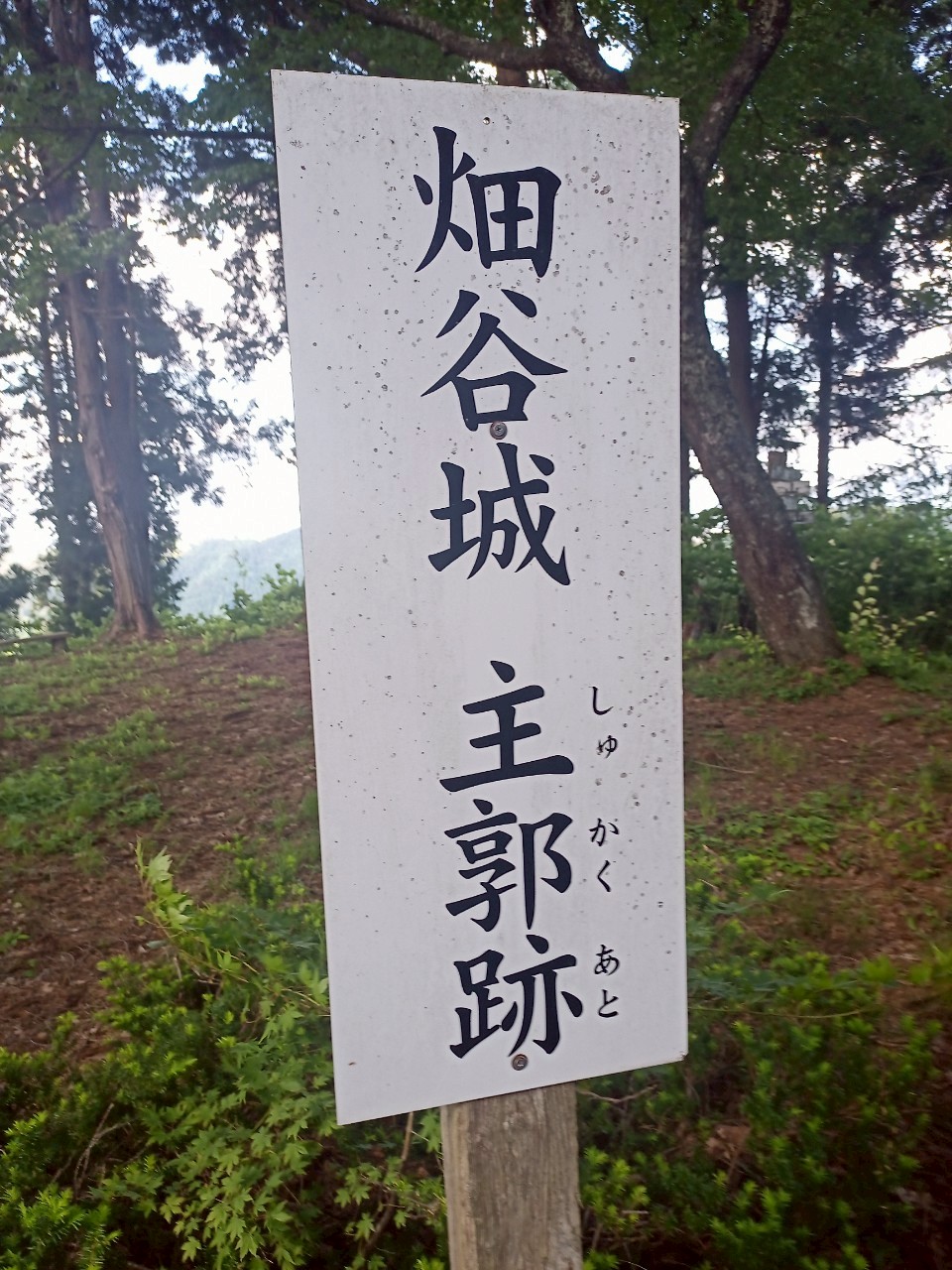 LINE_ALBUM_畑谷城_250619_90