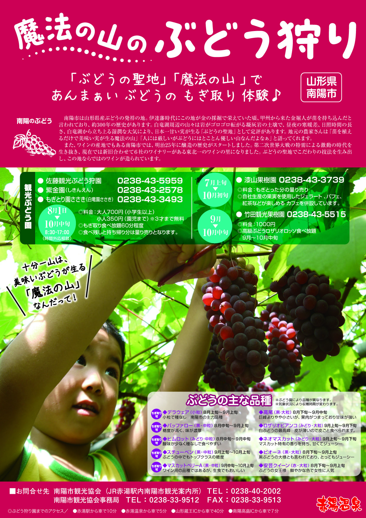 【山形イベント情報8/1~】魔法の山で“ぶどう狩り”体験がスタート!