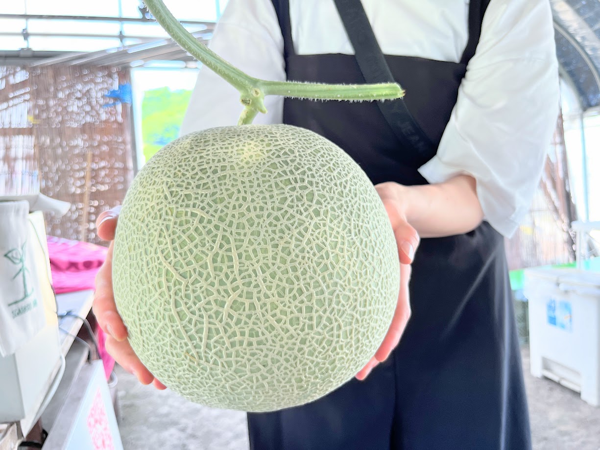 【山形直売所レポ】五十嵐ファーム(米沢市)|トトロの森隣の畑の直売所