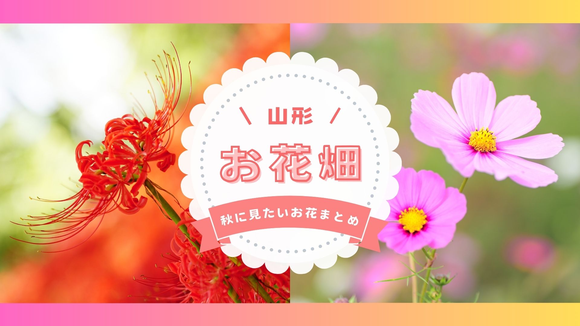【2025年版】紅葉だけじゃない！山形で秋に行きたいお花畑８選
