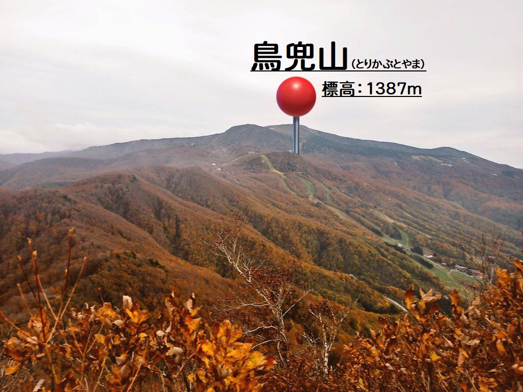 【山形登山レポ】鳥兜山登山報告!¦つよの山形百名山:21/100(秋夏)