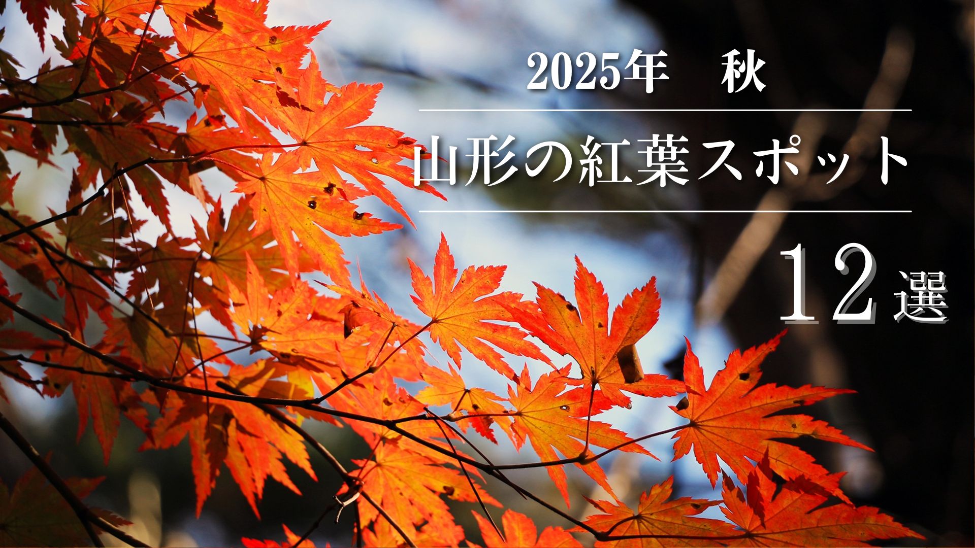 【2025年版】山形の紅葉名所12選｜おすすめスポットまとめました