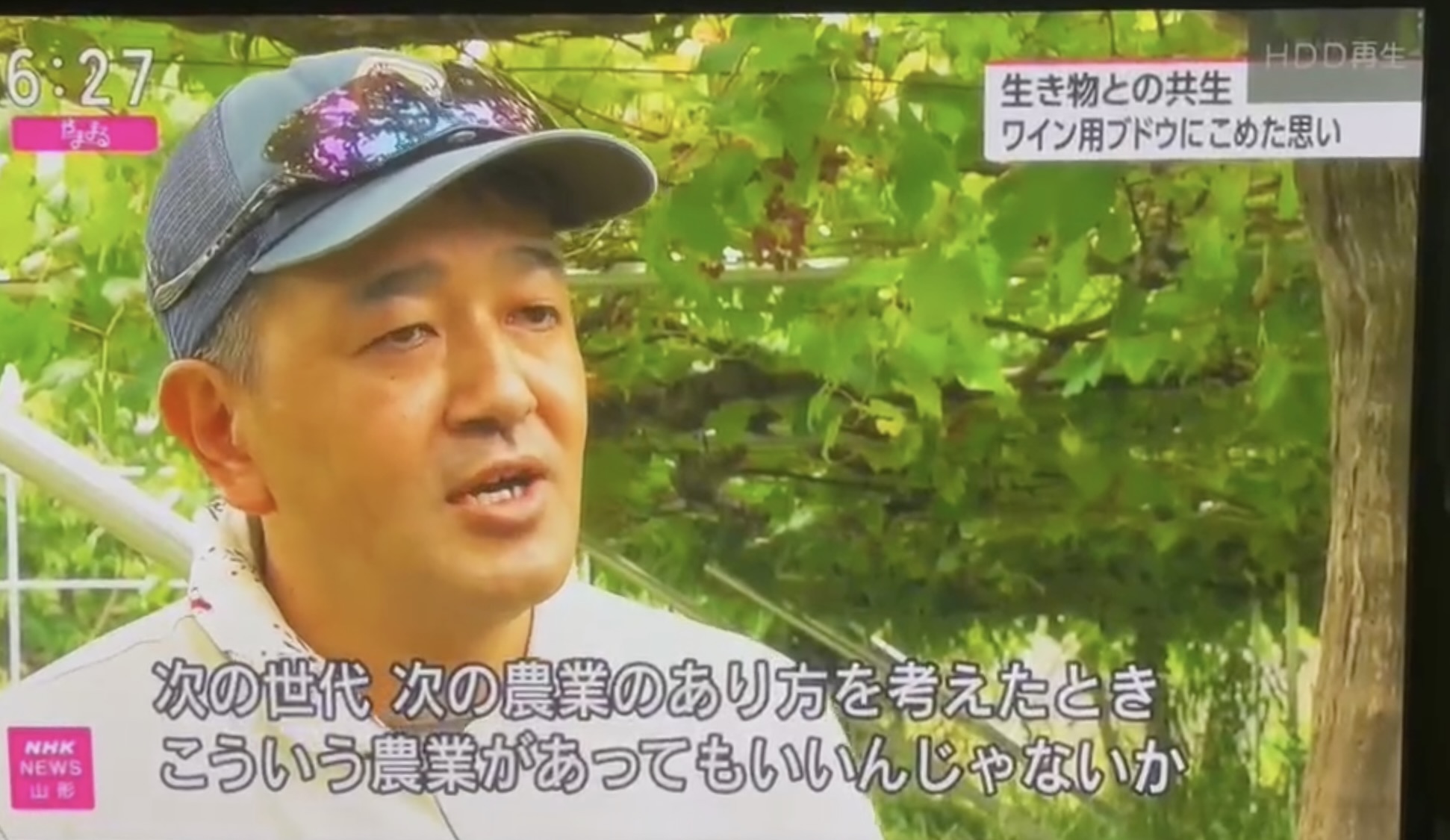 【やまぐらピックアップ】「命を大切にする農業」から生まれるワインを|いにしえの挑戦