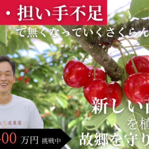 山形の話題】さくらんぼ畑を未来へ！若手農家が挑む、果樹園再生の道