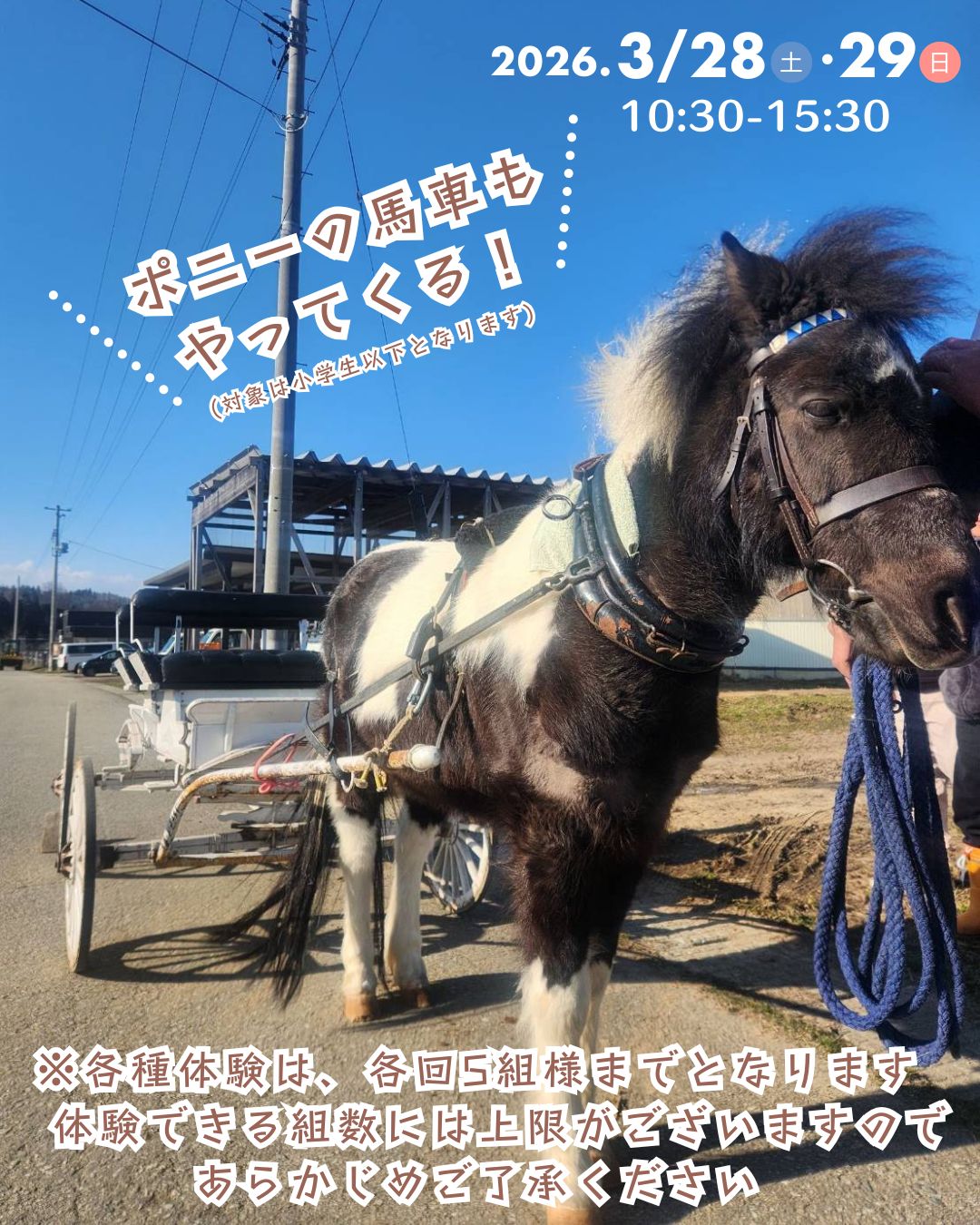 【山形イベント情報3/28-29】午年記念イベント！ミニチュアホース＆ポニーがやってくる！（上山市）