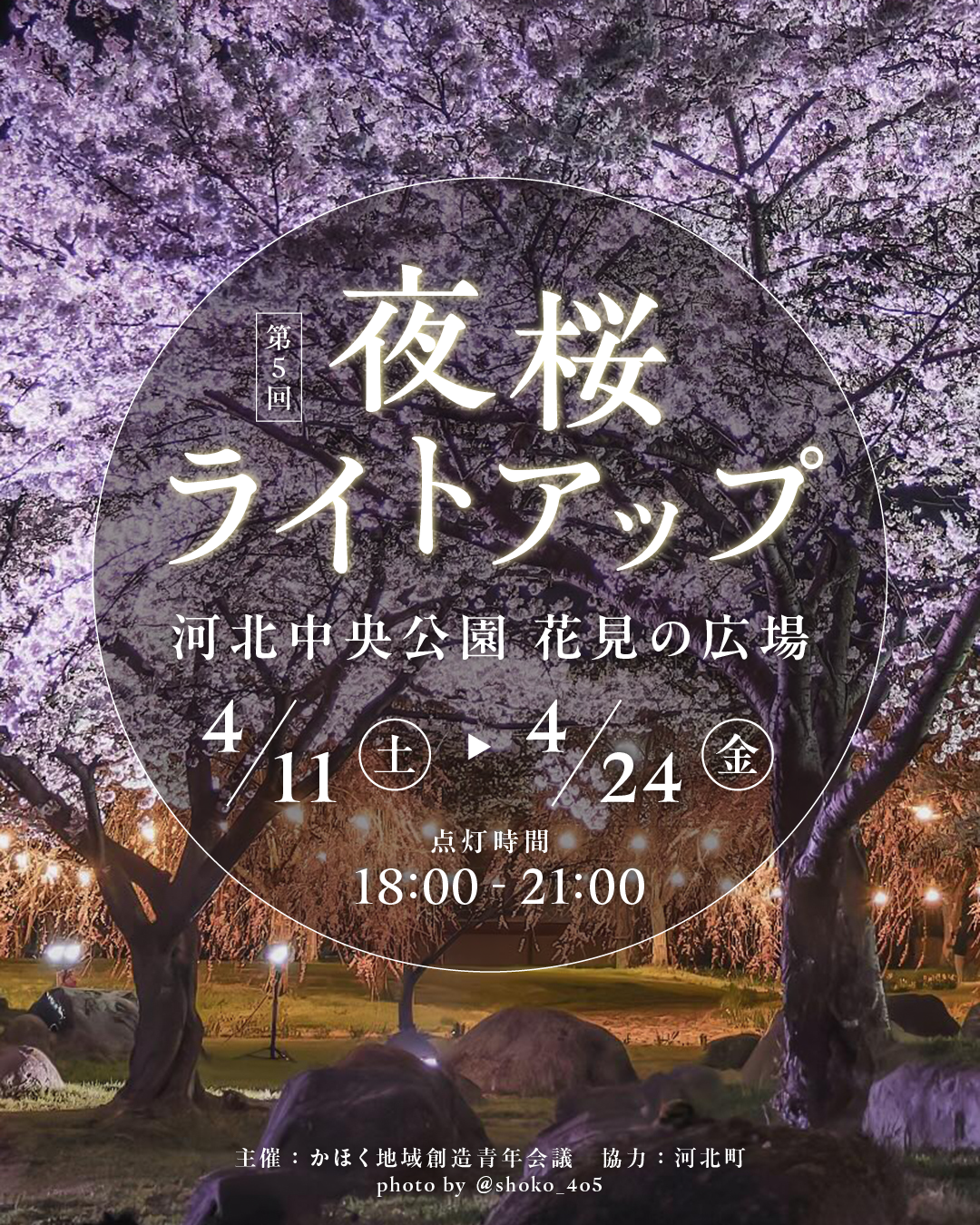 【山形イベント情報4/11-4/24】第5回 河北中央公園 夜桜ライトアップ（河北町）