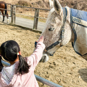 山形】「こ、こわい…」と言っていた3兄妹が夢中に！上山市「ZEN Riding