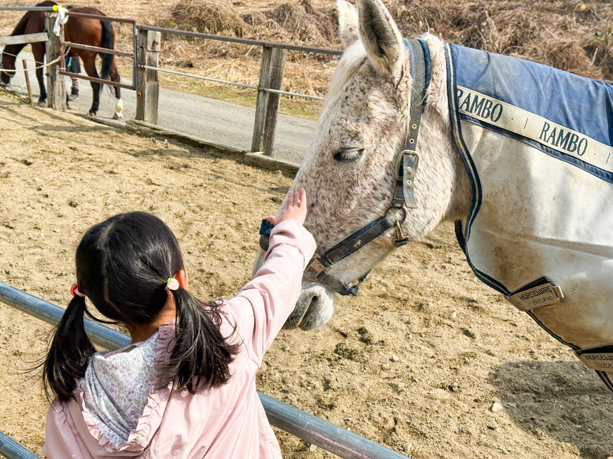 【山形】「こ、こわい…」と言っていた3兄妹が夢中に!上山市「ZEN Riding Club」で感動の乗馬体験(読者特典あり)
