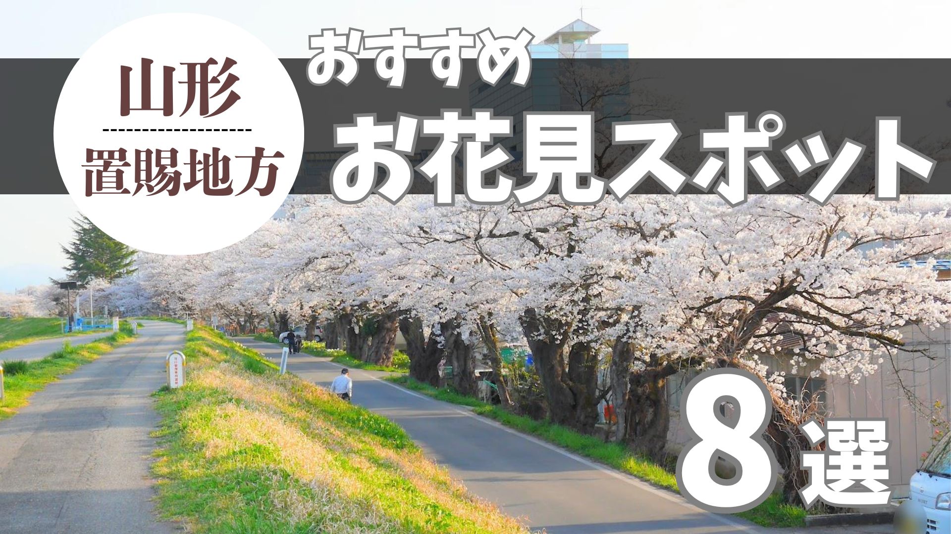 【2026年版】置賜のお花見スポットまとめ！定番＆穴場のおすすめ8選