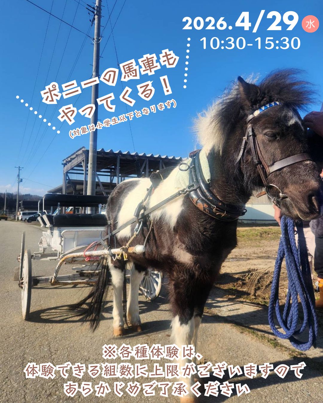 【山形イベント情報4/29】午年記念イベント開催！ミニチュアホース＆ポニーがやってくる！（上山市）