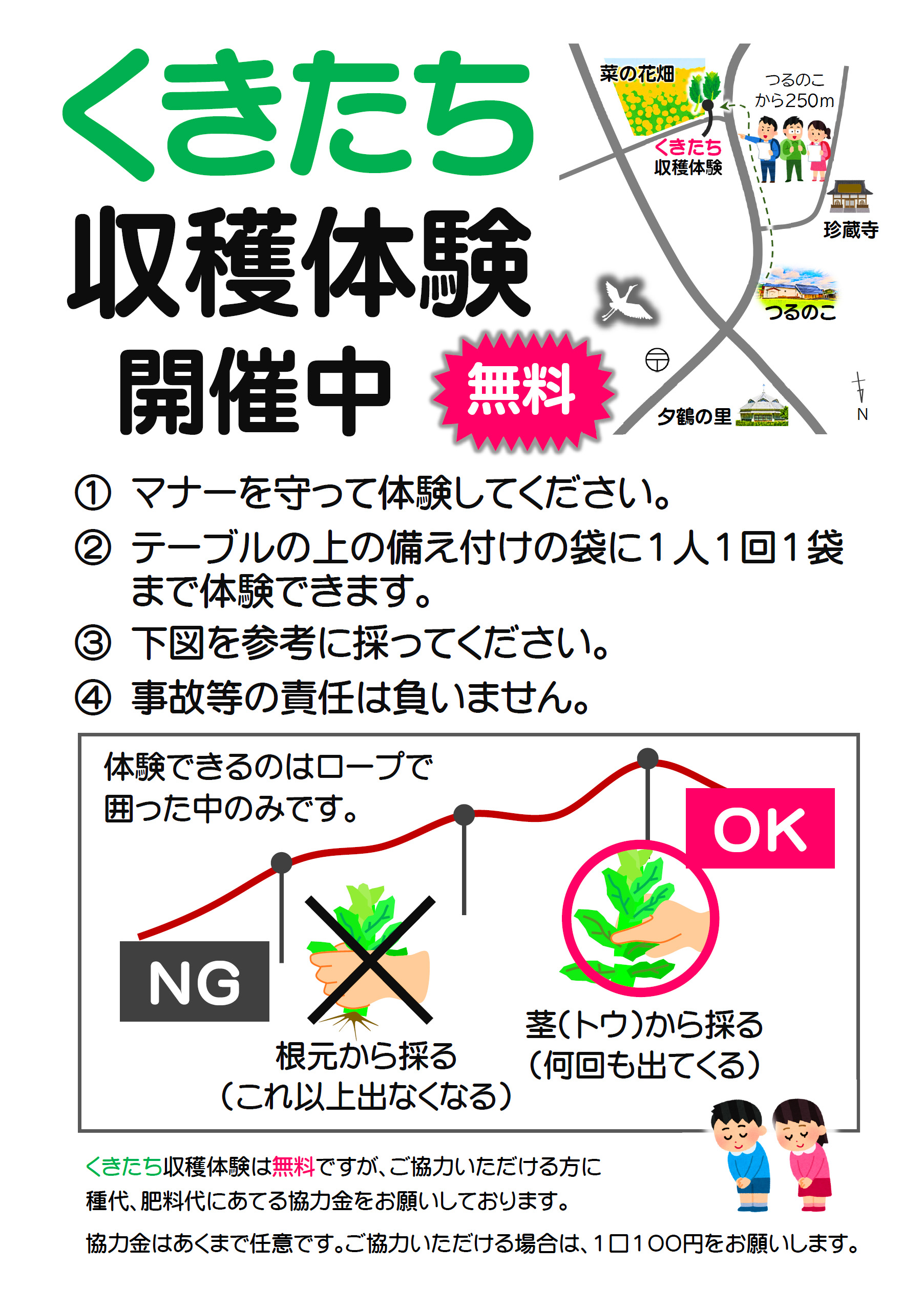 【置賜イベント情報】くきたち収穫体験(南陽市)