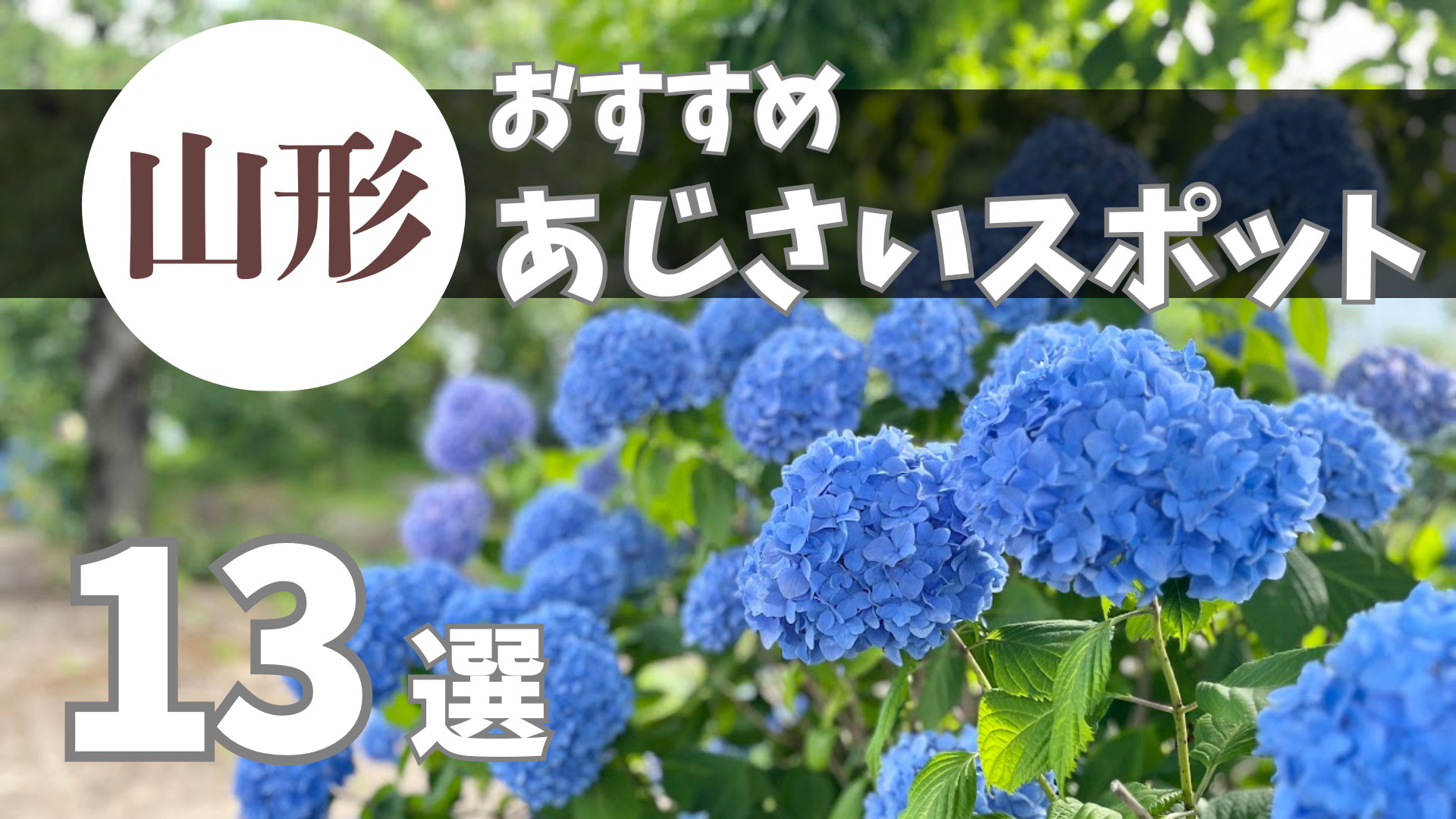 【2026最新版】山形のあじさい名所・穴場スポット13選！名寺からSNSで話題の花手水まで