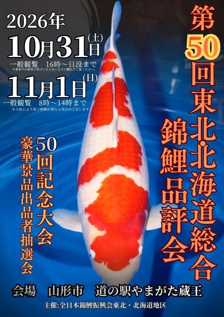 【山形市】“泳ぐ宝石”に癒やされる2日間!「第50回 東北北海道総合錦鯉品評会」が10/31-11/1に開催