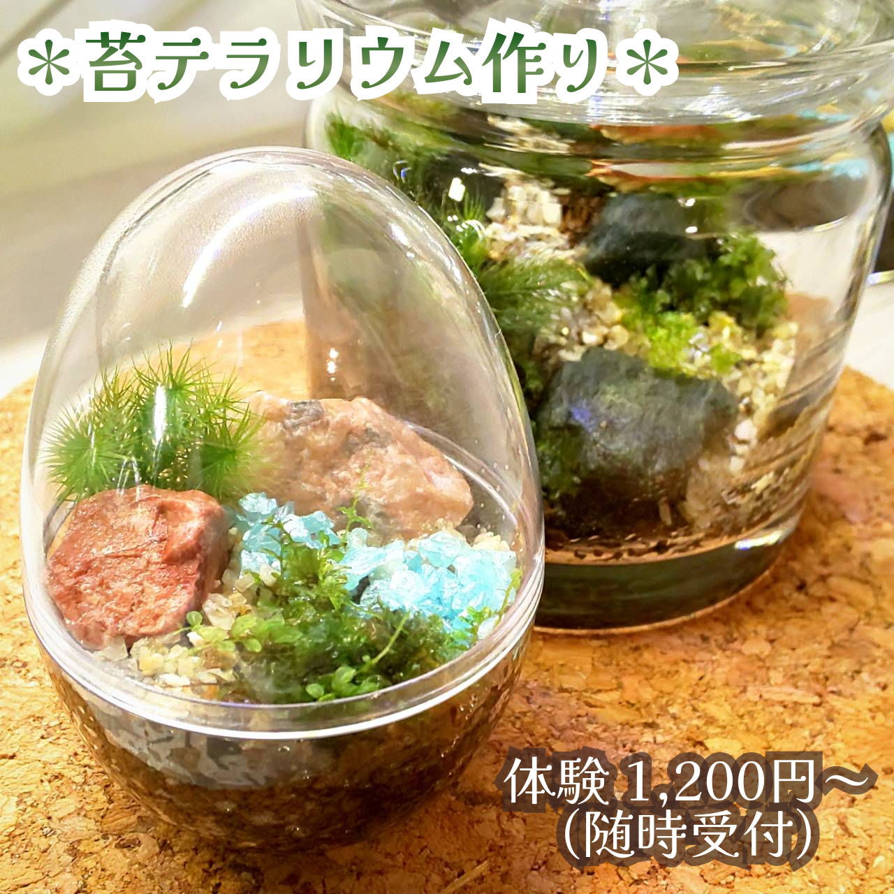 【やまぐらピックアップ】10/4は金山町・遊学の森で「グッド・ウッド フェスティバル」！秋に始める癒しの苔テラリウム